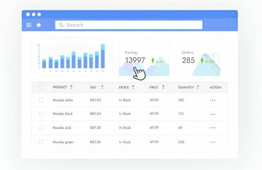 goAML System Services